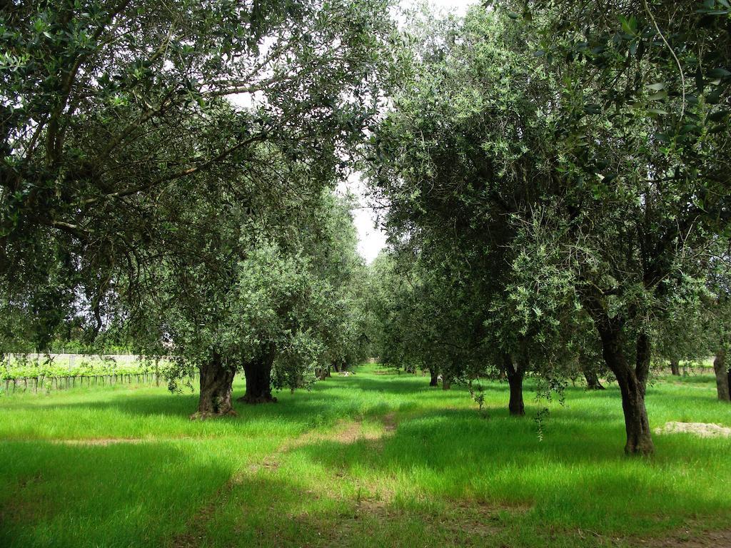 Masseria San Polo Squinzano エクステリア 写真